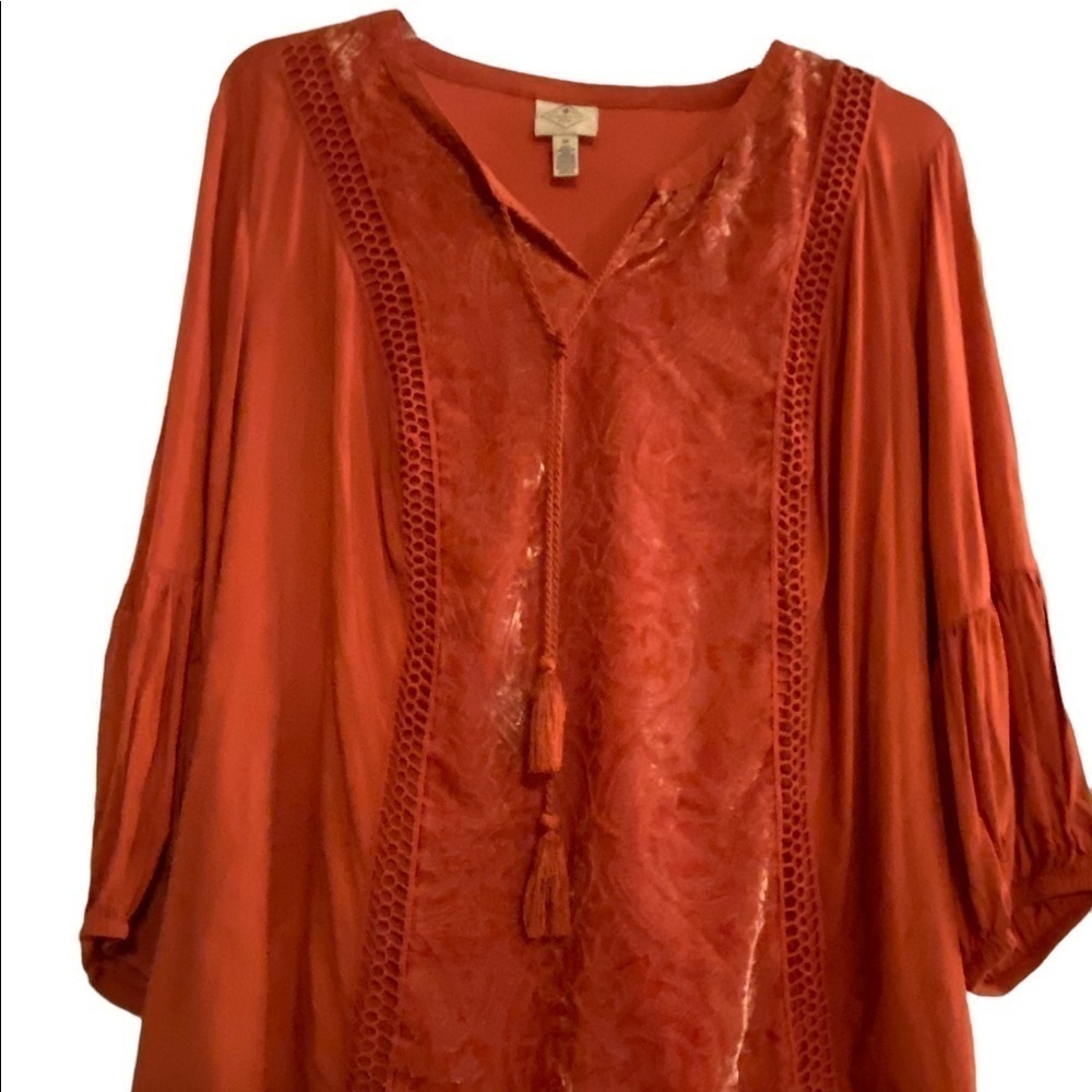 Womens dress blouse with velvet accent - Picture 4 of 4